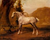 A Grey Stallion In A Landscape - 乔治·斯塔布斯